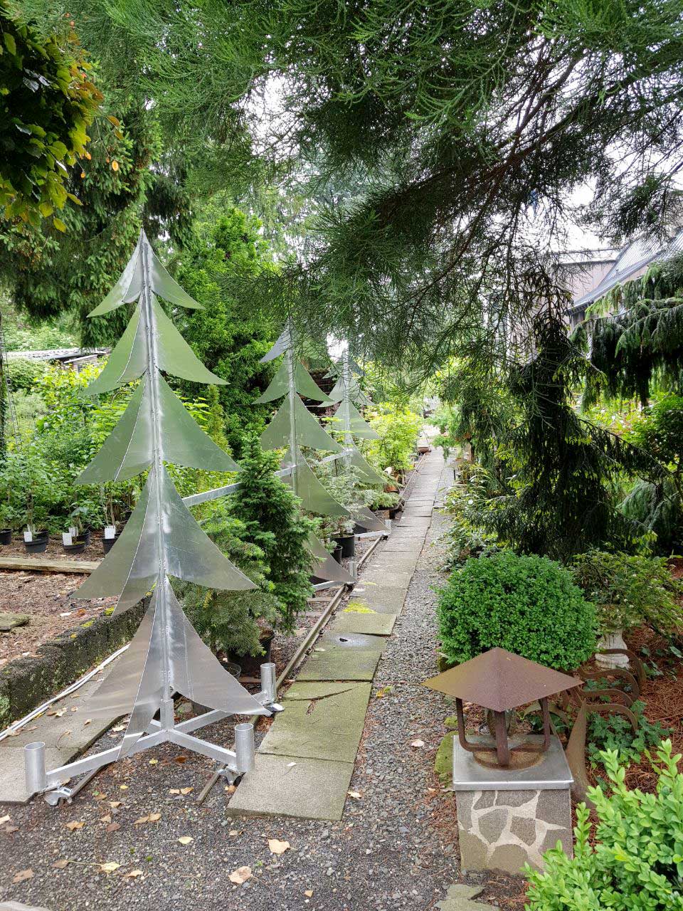 Gespensterbaum